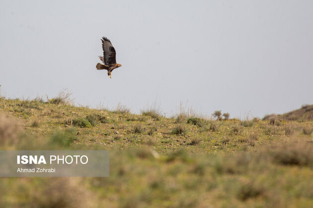 62232711_6K2A0142