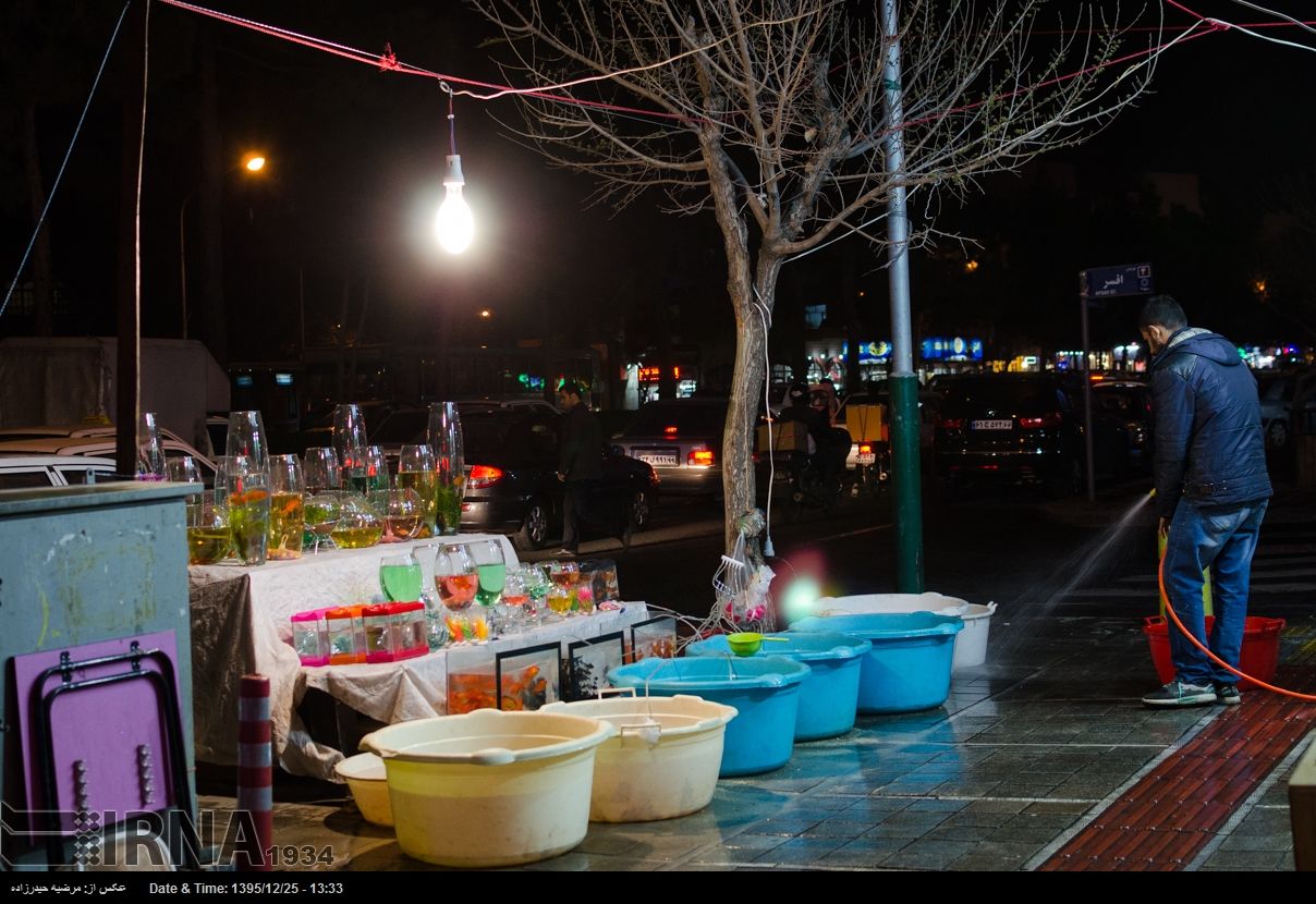 تکاپوی مردم تهران در آستانه سال نو+تصاویر