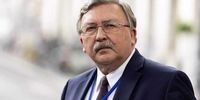 واکنش اولیانوف‌ به ادعای بورل درباره مانع‌تراشی روسیه در مذاکرات 
