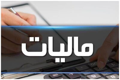 خبر مهم رئیس کل سازمان مالیاتی کشور درباره تمدید مهلت ارسال فرم‌ این تبصره