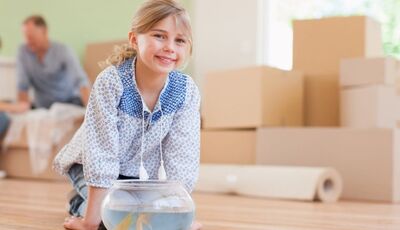 شرایط اسباب کشی در نوروز چیست؟