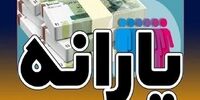 یارانه ۲ میلیون تومانی چه زمانی شارژ می‌شود؟/ خبر مهم وزارت کار برای یارانه‌بگیران