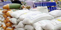 قیمت برنج در مرز ۱۰۰ هزار تومان/ برنج داخلی را انبار کرده‌اند تا بازار را کنترل کنند