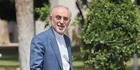 چالش ایران و آژانس با تدبیر بزرگان نظام حل شد