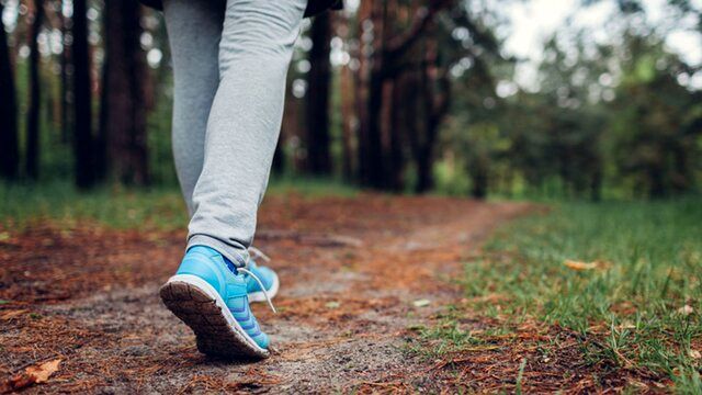 پیاده‌روی چگونه به کاهش وزن کمک می‌کند؟