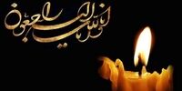 پیکر هنرمند مشهور به خاک سپرده شد+عکس
