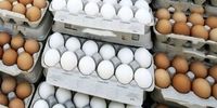نرخ جدید تخم مرغ در میادین اعلام شد
