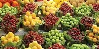 قیمت جدید میوه‌های نوبرانه / یک کیلو چغاله بادام و گوجه‌ سبز چند؟