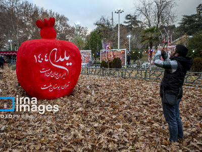 تصاویر| حال و هوای یلدایی پایتخت