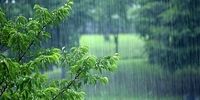 بارش باران در این استان ها/ پیش بینی آب و هوای ایران 18 خرداد 1402

