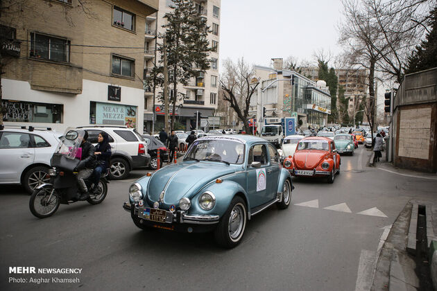 3077632_IMG_8029