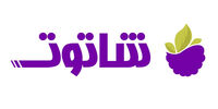 چرا یکپارچگی CRM، حسابداری و فروشگاه آنلاین، شرط رشد پایدار کسب‌وکارهاست؟