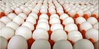 قیمت تخم مرغ سر به فلک کشید 