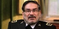 شمخانی: همکاری و هم‌گرایی در منطقه خلیج فارس باید جایگزین واگرایی و خصومت شود