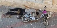  صحنه تکان دهنده از اعدام میدانی یک فلسطینی در غزه
 