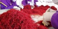 چرا در صادرات فله‌کار هستیم؟