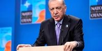 اظهارنظر اردوغان درباره نشست آلاسکا / امیدواری به مشارکت زلنسکی در روند جدید
