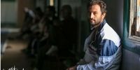 واکنش منتقدان آمریکایی به فیلم اصغر فرهادی