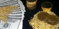 عقبگرد قیمت سکه در بازار رسمی/دلار رسمی قد کشید 
