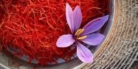 هشدار درباره استفاده از پودر و عصاره زعفران به جای خود زعفران/سرطان در کمین است!
