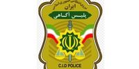 جزییاتی از دستگیری سارقان بانک ملی+فیلم