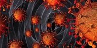 کرونا در جهان چند قربانی گرفت؟ / جدیدترین آمار فوتی‌ها و مبتلایان