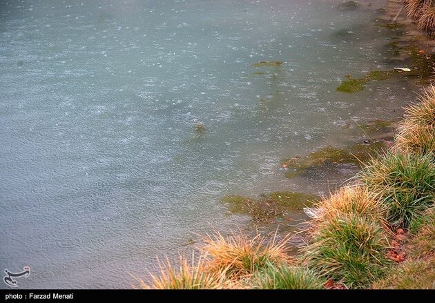 image15