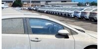 دستور ترخیص ۵ هزار خودرو خارجی از این بندر صادر شد