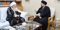 دیدار صمیمی سید حسن خمینی با آیت الله صافی گلپایگانی+ تصاویر

