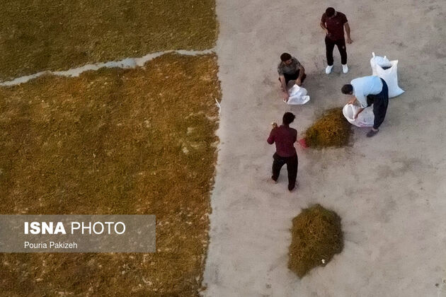62030481_DJI_0128