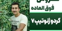 خرید نهال گردو زیر نظر جهاد کشاورزی با قیمت باور نکردنی