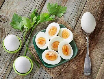 4 بلای خطرناکی که مصرف تخم مرغ بر سرتان می آورد