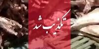 واردات گوشت حرام واقعیت دارد؟/ سازمان دامپزشکی واکنش نشان داد