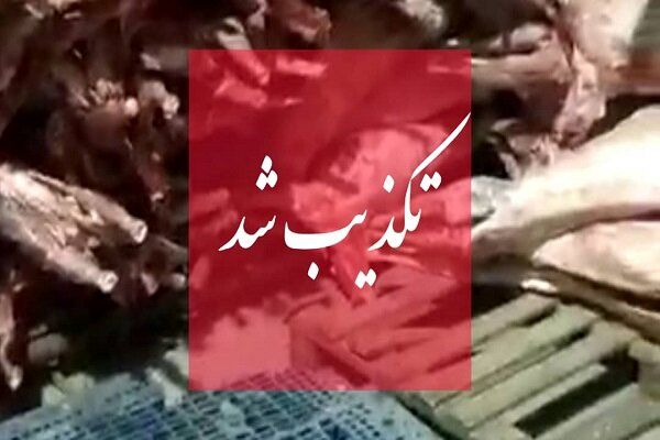  واردات گوشت حرام واقعیت دارد؟/ سازمان دامپزشکی واکنش نشان داد