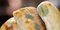 خطرات نان کپک‌ زده به دام و حیوانات خانگی/ چگونه نان را نگه داریم تا کپک نزند؟
