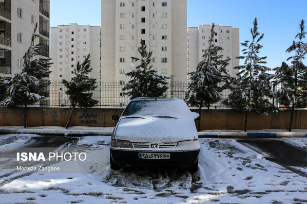 61877961_zangene-isna-43