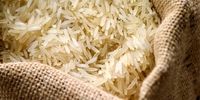 برنامه دولت برای تخصیص ارز برنج چیست؟