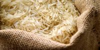 برنامه دولت برای تخصیص ارز برنج چیست؟