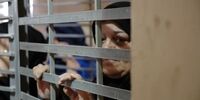 بیانیه تندوتیز فلسطین درباره سکوت جهان در قبال نقض حقوق اسرای فلسطینی / اسرائیل باید بهای حماقتش را بپردازد