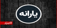 واکنش سخنگوی سازمان هدفمندی یارانه‌ها به ماجرای قطع سامانه ثبت نام/ خبر خوش طیبه حسینی درباره رونمایی از سامانه جدید
