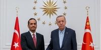 دیدار و گفتگوی اردوغان با وزیر خارجه قطر 