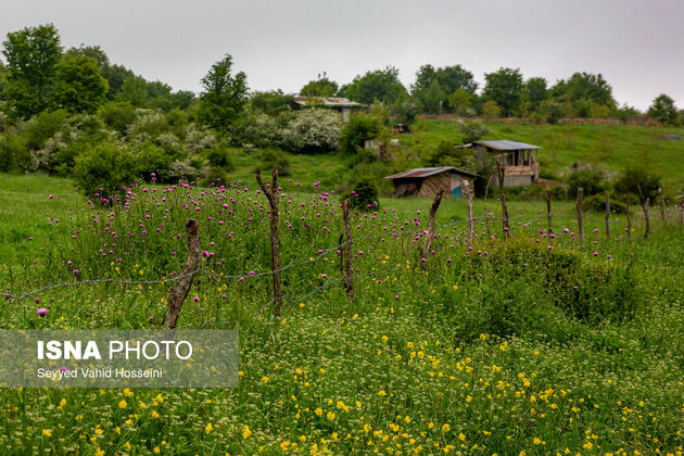 62300401_seyyed-vahid-hosseini-roudbar-24-
