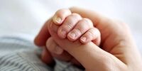 ۱۵ سال حبس در انتظار مدیرانی که از این قانون استنکاف کنند!