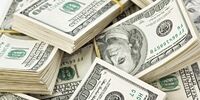 کلاه بردار خارجی با 28 میلیون دلار از ایران گریخت + عکس