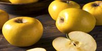 قبل از خواب سیب بخوریم یا خیر؟ پاسخ علم به این عادت شبانه