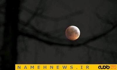 resized_518223_663