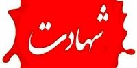 فوری؛ شهادت جمعی از فرماندهان نیروهای مسلح در حمله به جلسه شورای عالی دفاع/ سرلشکر موسوی و امیرنصیرزاده به شهادت رسیدند/ اسامی اعلام شد