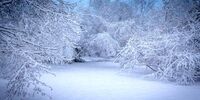آماده‌باش به 6 استان/ باران و کولاک برف در راه است
