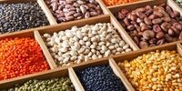 حبوبات گران شد / لوبیا چیتی رکورد زد + جدول