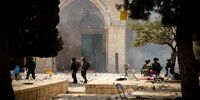 عکسی دیدنی از سنگ های جمع شده از سوی جوانان فلسطینی